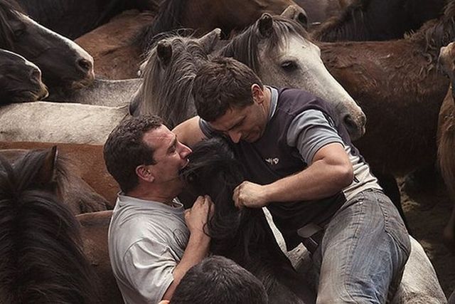 People and horses (14 photos)