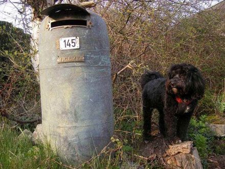 Cool mailboxes (31 photos)