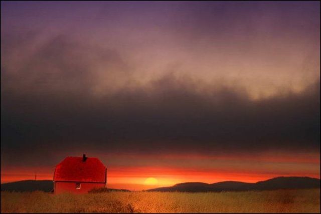 Beautiful pictures from Veronika Pinke (19 photos)