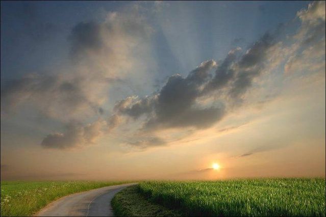 Beautiful pictures from Veronika Pinke (19 photos)