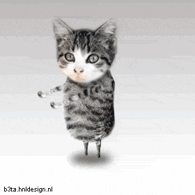dancing_cats_24.gif