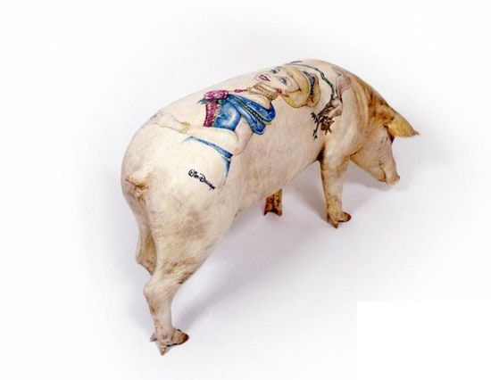 Tattooed pigs (26 photos)