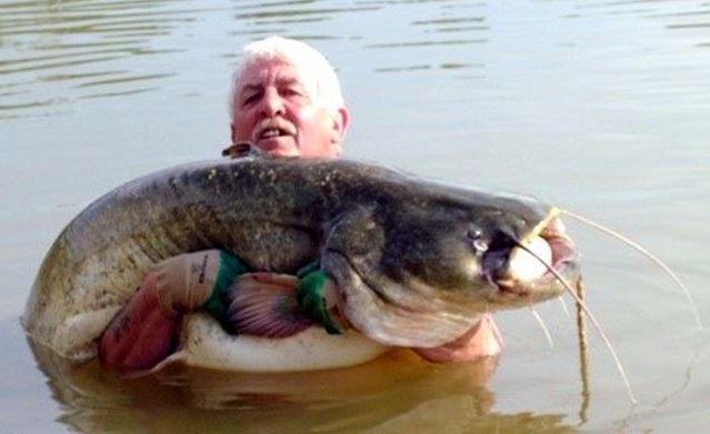 whats your price dating reviews