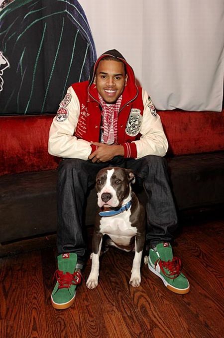 Celebrities and their dogs (9 photos)