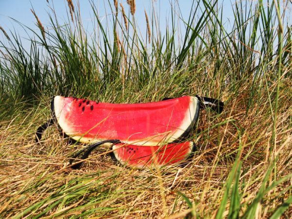 Watermelon purse (4 photos)