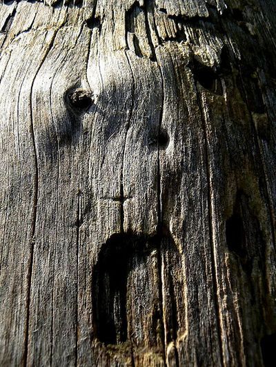 Faces in places (30 pics)