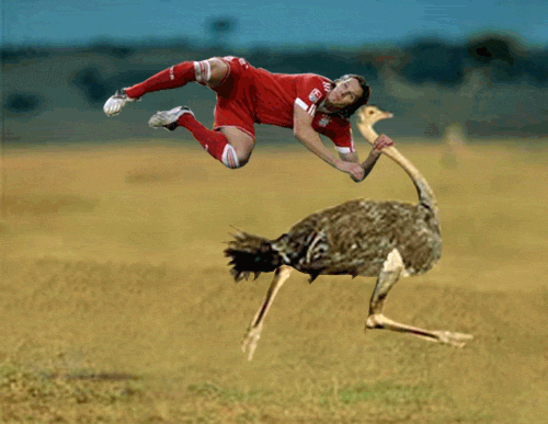 funny_photomontage_on_22.gif