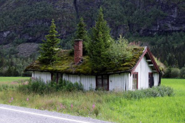 amazing_grass_roofs_640_01.jpg
