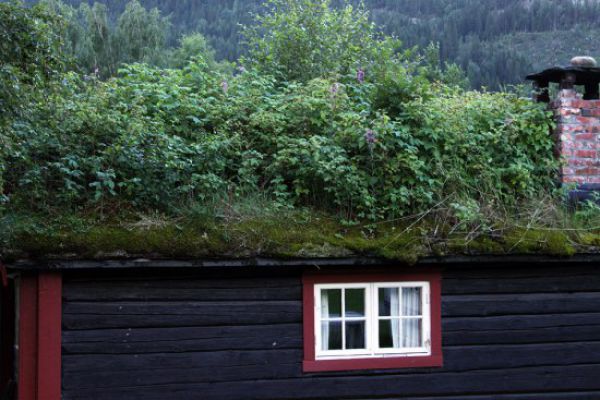 amazing_grass_roofs_640_02.jpg