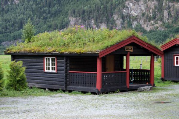 amazing_grass_roofs_640_04.jpg