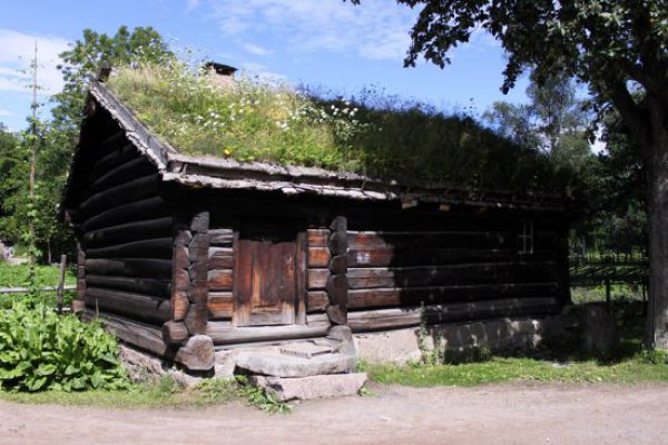 amazing_grass_roofs_640_05.jpg