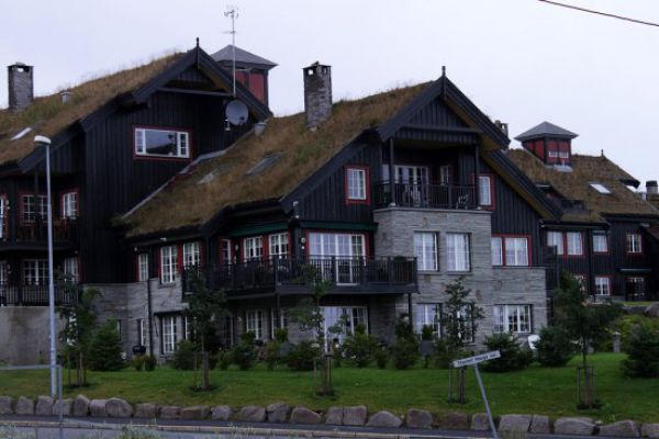 amazing_grass_roofs_640_10.jpg