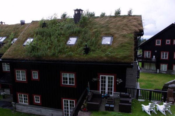 amazing_grass_roofs_640_11.jpg