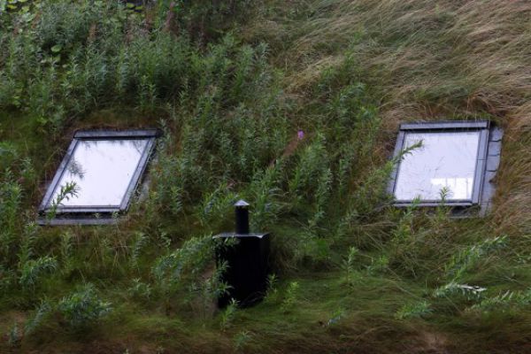 amazing_grass_roofs_640_12.jpg