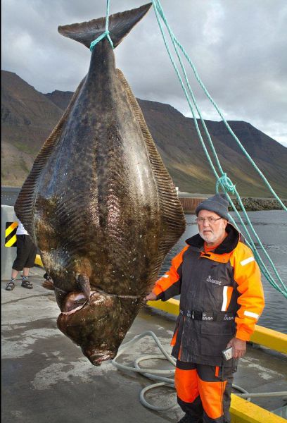 daily_picdump_553_640_06.jpg