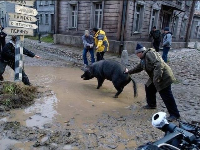 daily_picdump_553_640_15.jpg