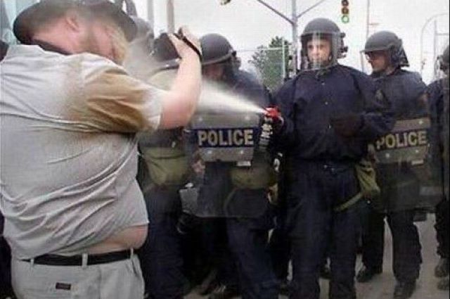 daily_picdump_553_640_29.jpg