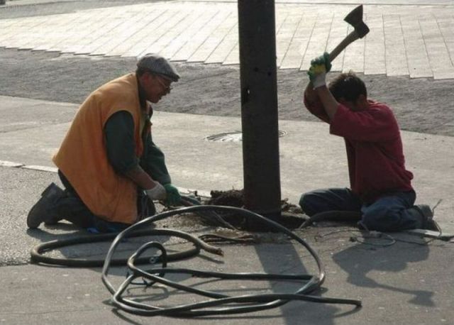 daily_picdump_553_640_50.jpg