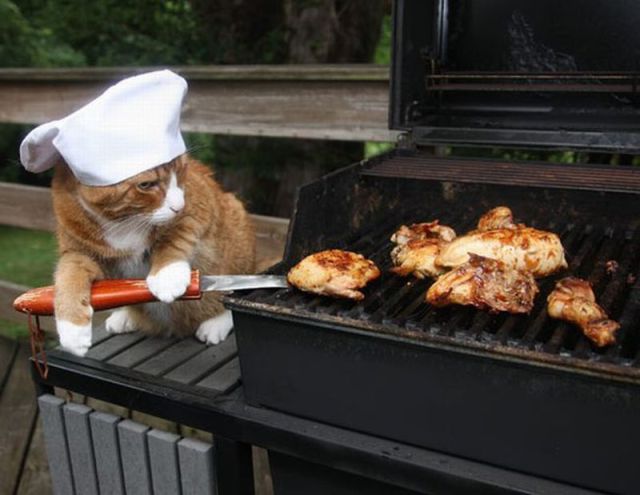 daily_picdump_553_640_75.jpg