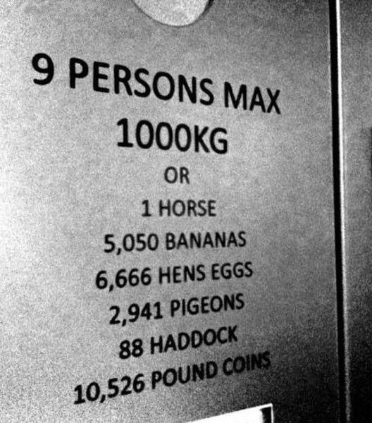 daily_picdump_1062_640_26.jpg