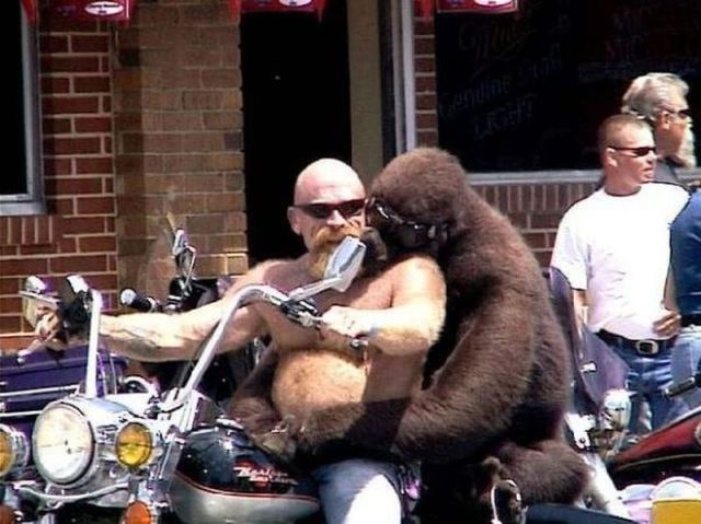 morning_picdump_239_640_06.jpg