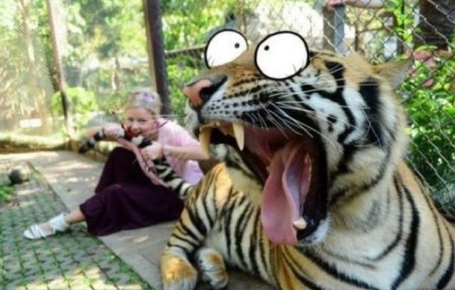 morning_picdump_239_640_10.jpg