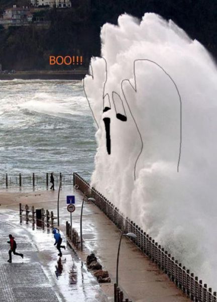 morning_picdump_239_640_13.jpg