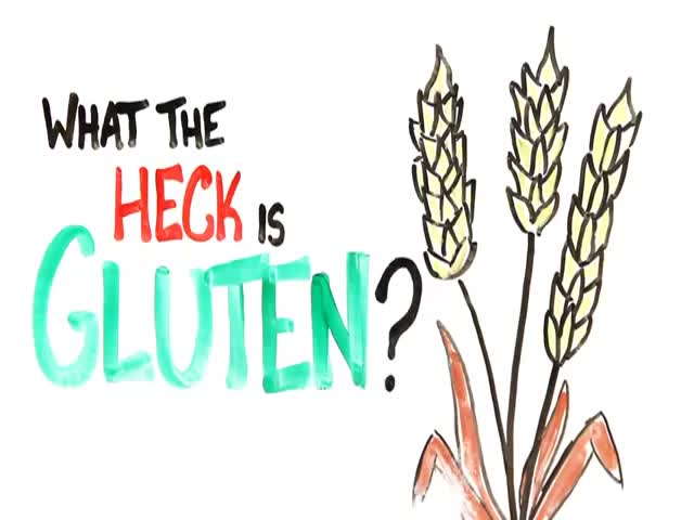So, What the Heck Is Gluten?  (VIDEO)