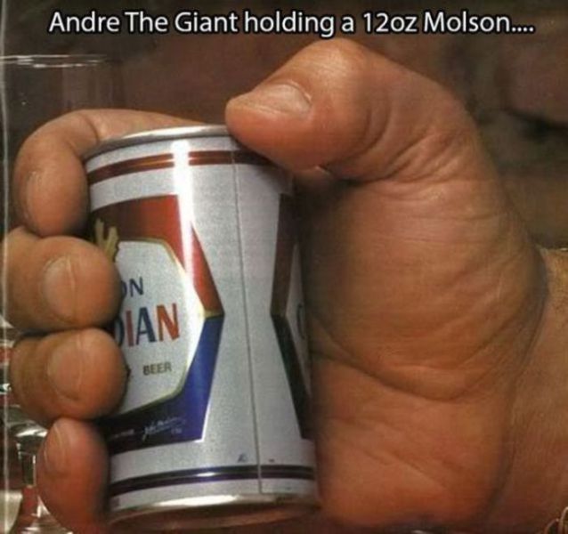 In Fond Memory of Andre the Giant
