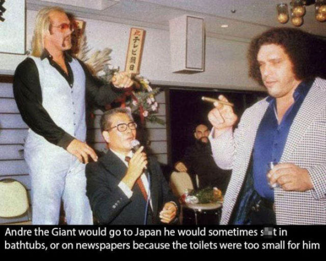 In Fond Memory of Andre the Giant