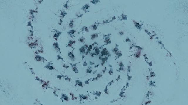 Interesting Details You Have Most Probably Missed During Season 6 of “Games of Thrones”