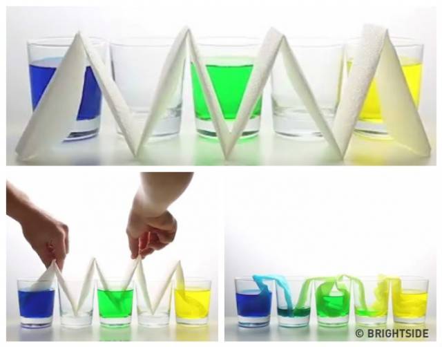 Easy Science Experiments To Do With Your Kids That Will Make Their Childhood Amazing