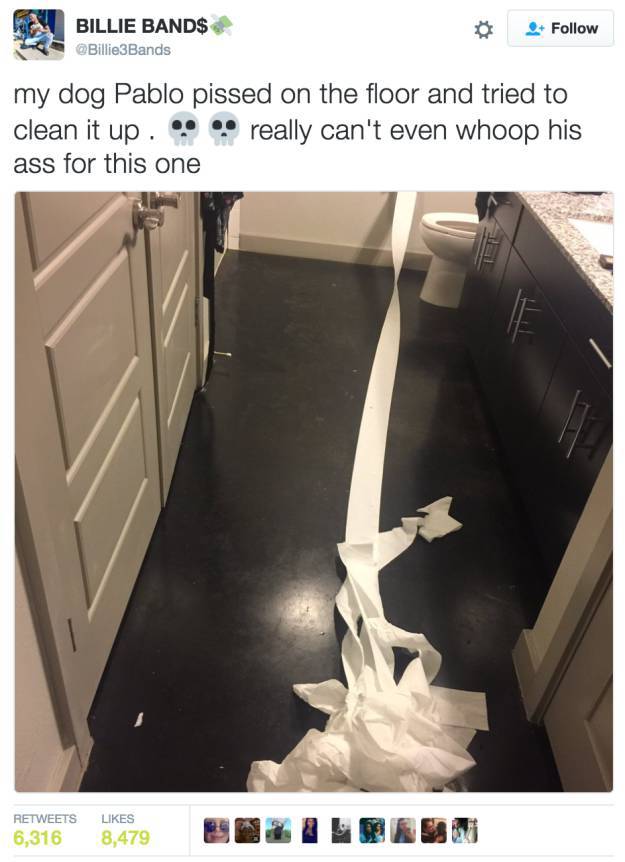 Hilarious Story Of A Puppy Who Tries To Clean Up His Own Pee With Toilet Paper