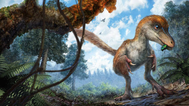 99-Million-Years-Old Dinosaur Tail Covered In Feathers Was Found Preserved In Amber