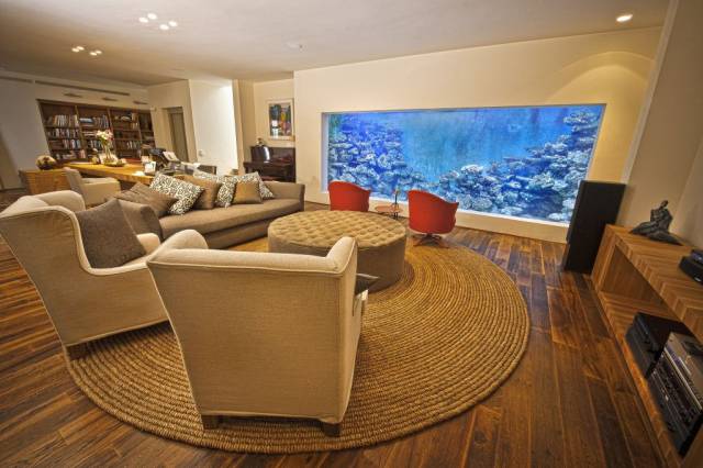 Man Builds An Aquarium In His House Where Not Only Fish Can Swim
