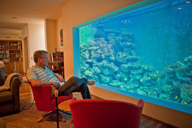 Man Builds An Aquarium In His House Where Not Only Fish Can Swim