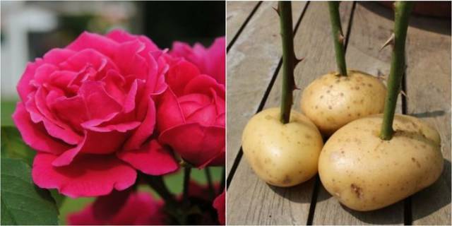 Your Life Could Be So Much Easier Had You Known These Before